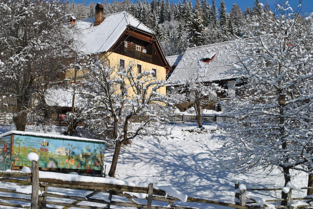 Schlintl-Hof Vila Liebenfels Exterior foto