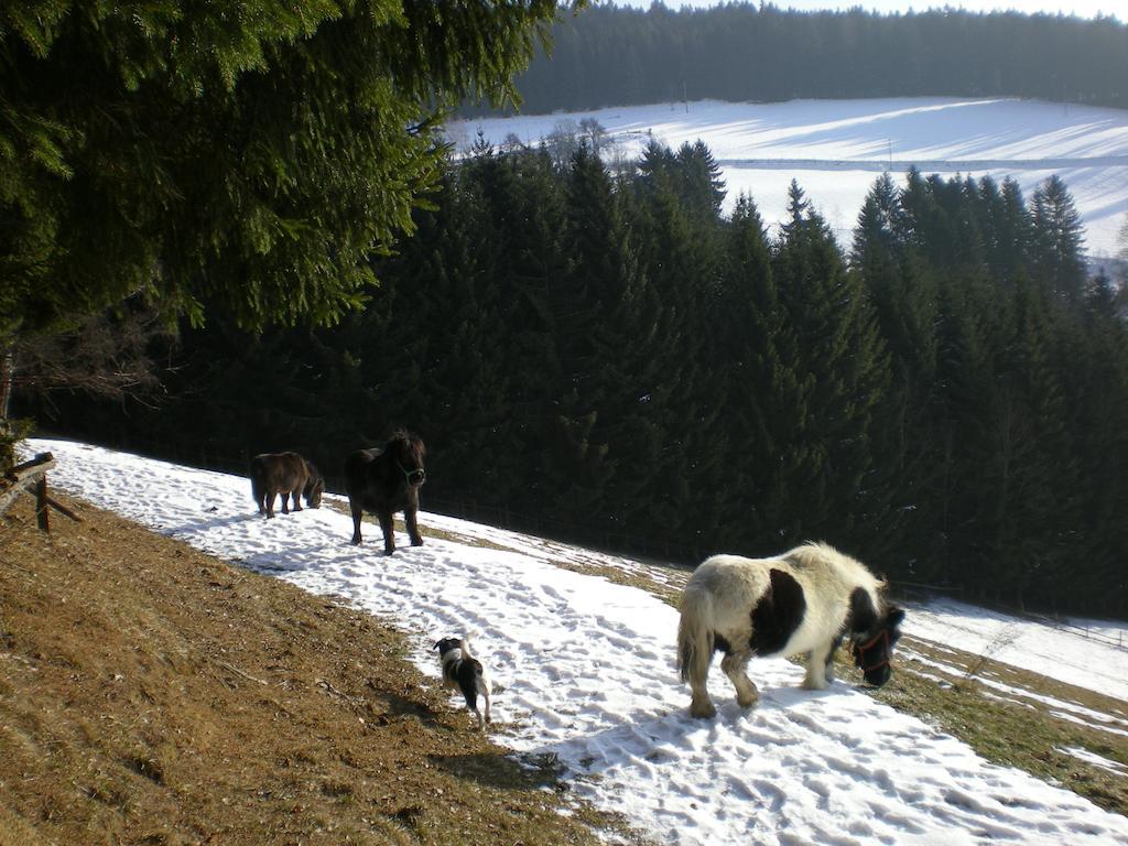 Schlintl-Hof Vila Liebenfels Exterior foto