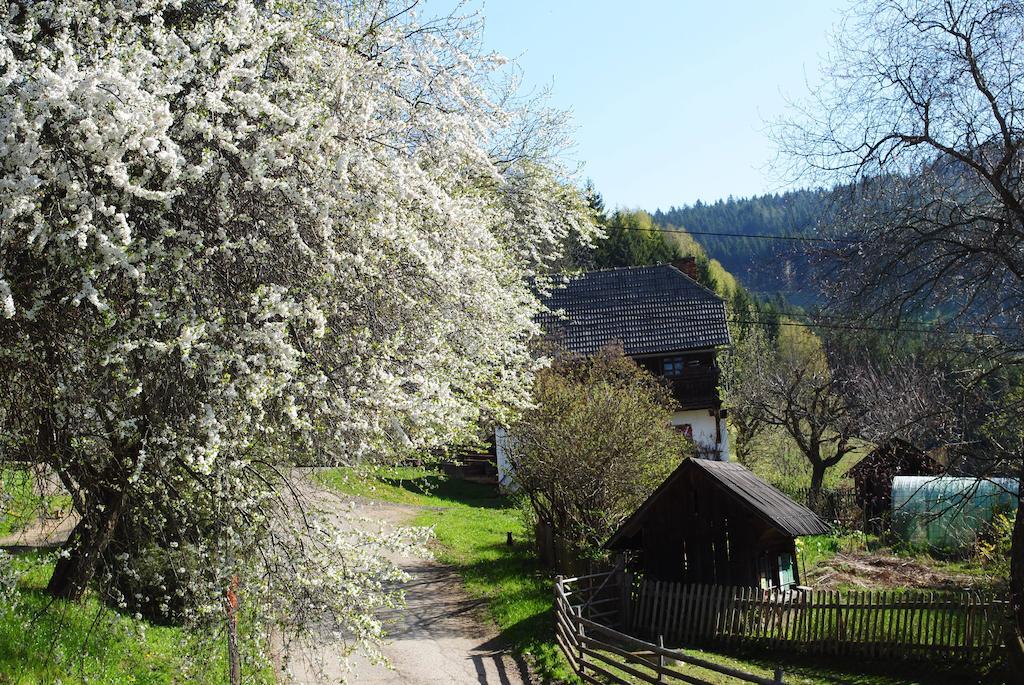 Schlintl-Hof Vila Liebenfels Exterior foto