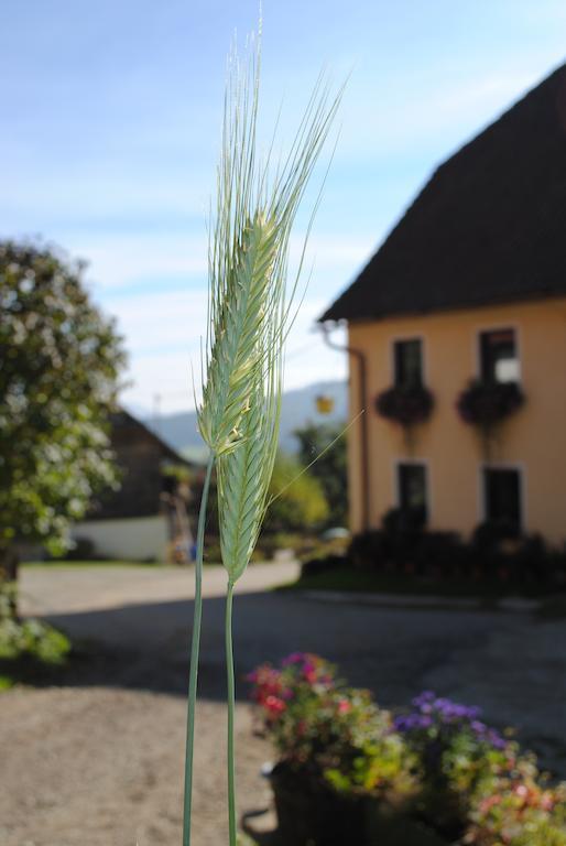 Schlintl-Hof Vila Liebenfels Exterior foto