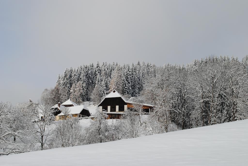 Schlintl-Hof Vila Liebenfels Exterior foto