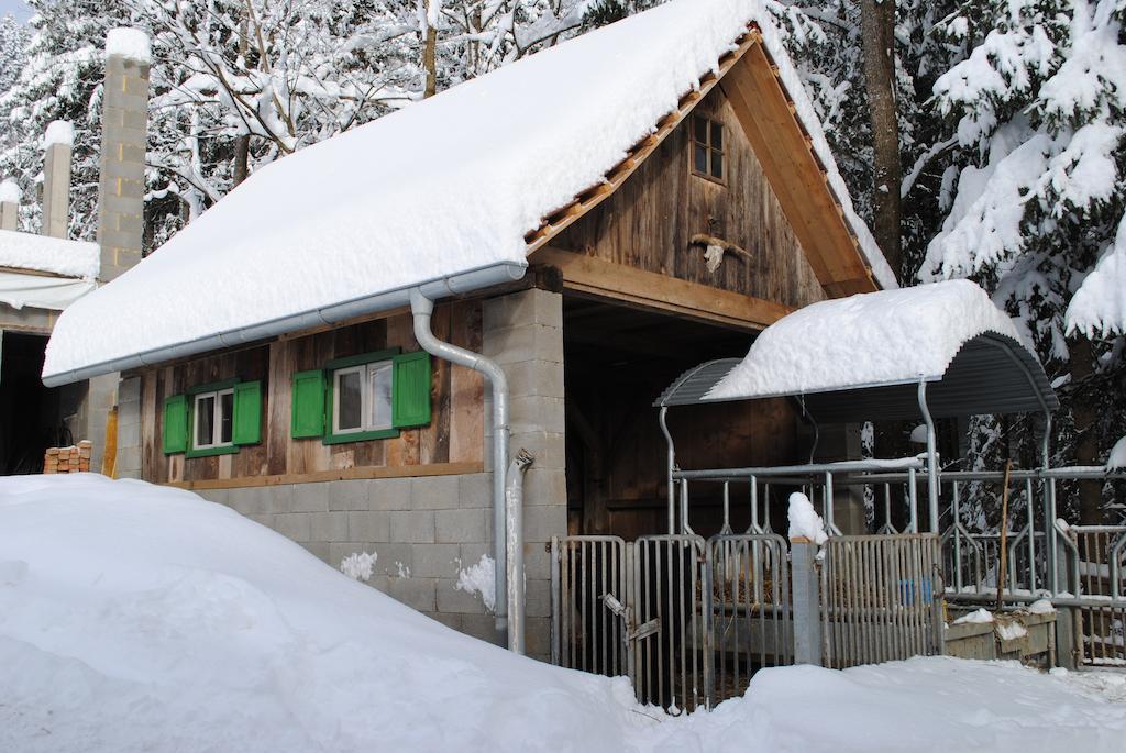 Schlintl-Hof Vila Liebenfels Exterior foto